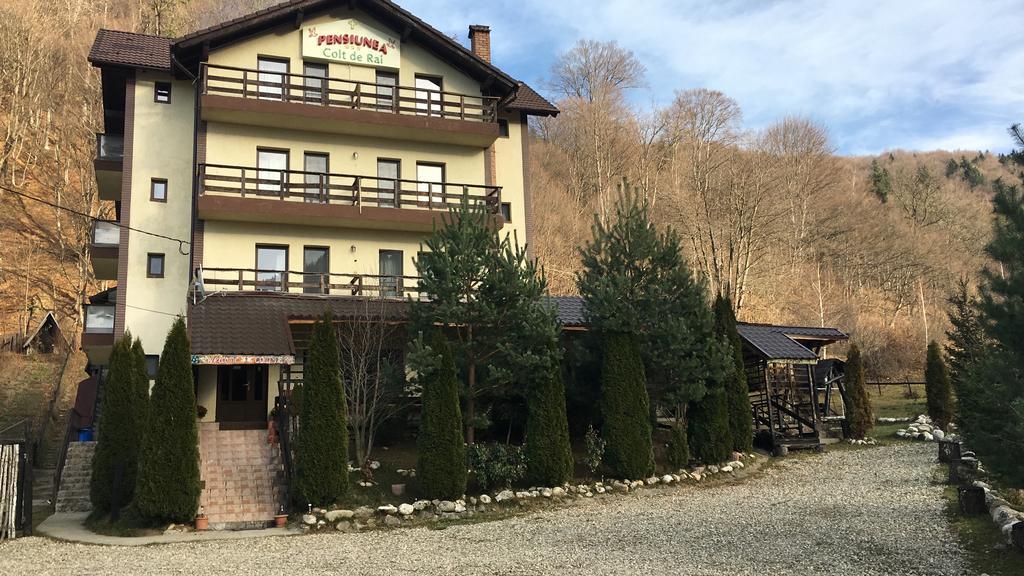 Vila Colt De Rai Hotel Risnov Exterior photo
